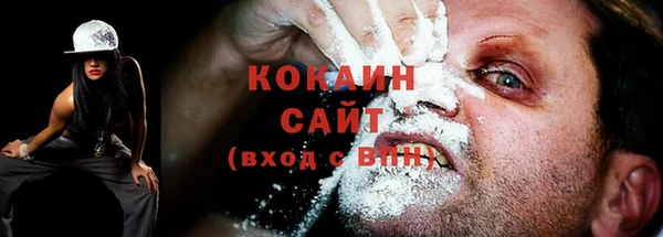 ешки Аркадак