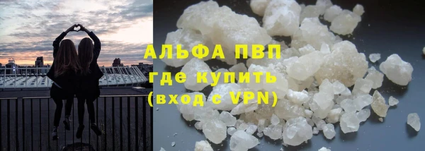 ешки Аркадак