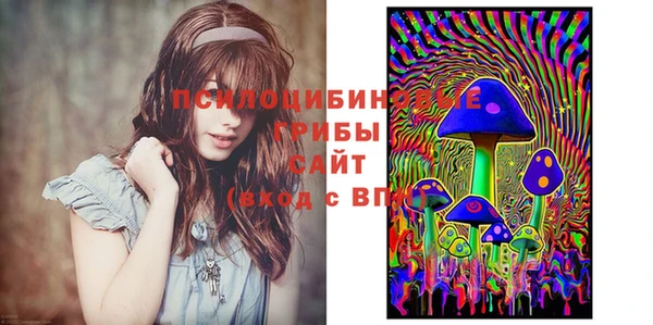 гашик Армянск