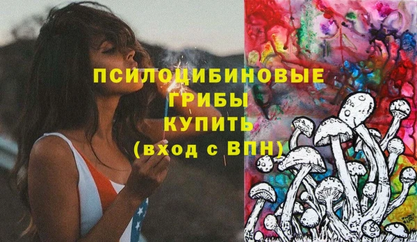 соль ск Арсеньев