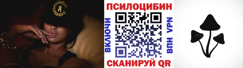 Галлюциногенные грибы мицелий  Болохово 